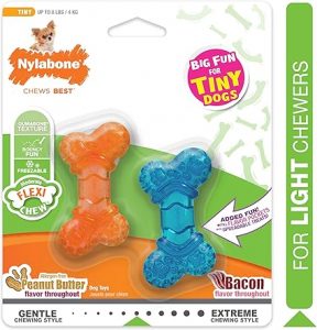 Nylabone Moderate Chew Flexi Chew Bone Peanut Butter & Bacon XX-Small