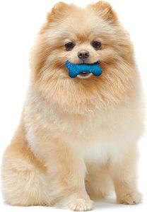 Small Dog Toys