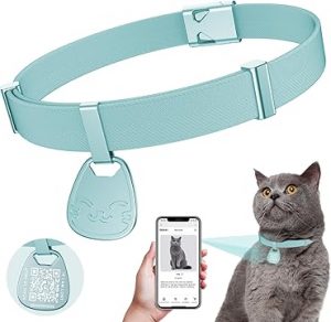Cat Collar with Name Tag Breakaway: Reflective Kitten Collars
